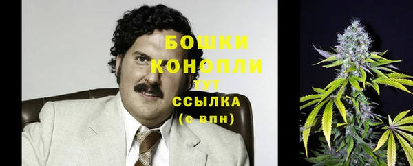 сатива Медвежьегорск