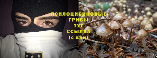 герыч Медногорск
