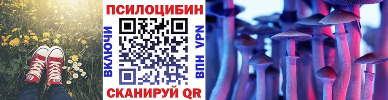 цены наркотик  Новокузнецк  Псилоцибиновые грибы мицелий 
