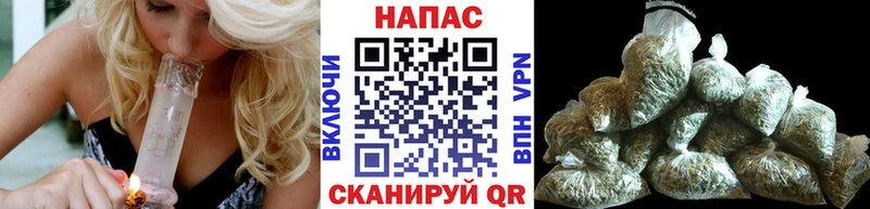 Бошки марихуана гибрид  Новокузнецк 